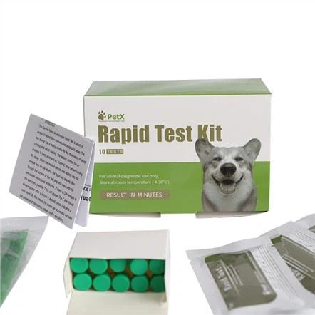 Canine Corona virus Antigen Test