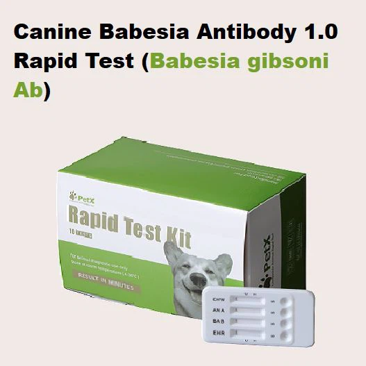 Babesia Ab