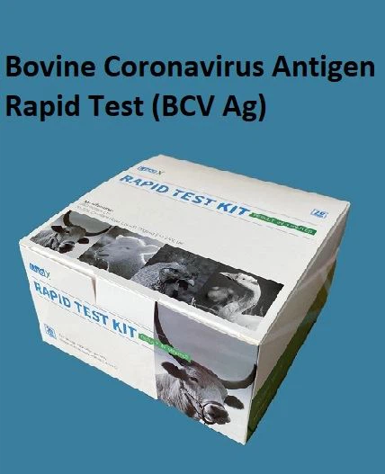 Bovine Coronavirus Antigen Rapid Test (BCV Ag)