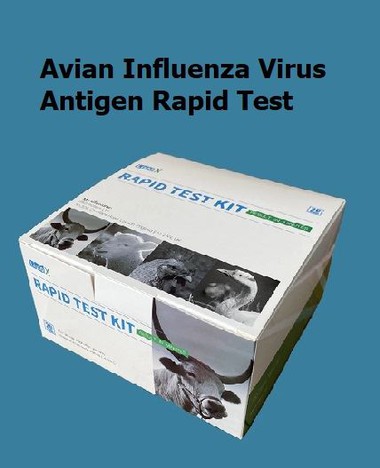 Avain Influenza Antigen Rapid Test