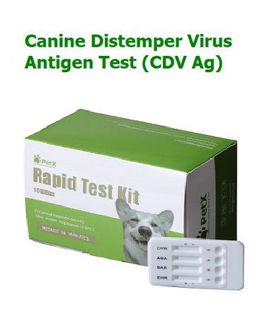 Canine Distemper Virus Antigen Rapid Test