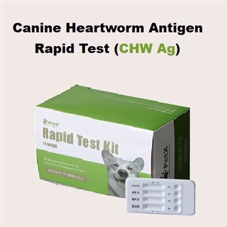 CHW Ag Test