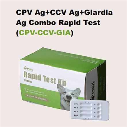 CPV CCV GIA