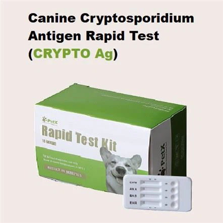 Crypto Ag