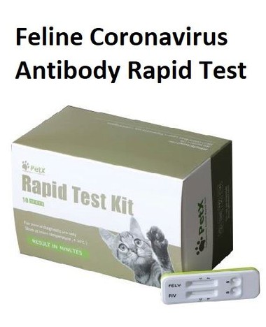 Feline Coronavirus Antibody Rapid Test