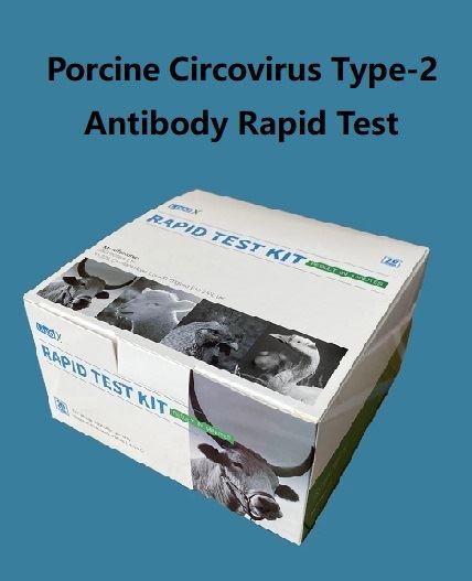 Porcine Circovirus Type-2 Antibody Rapid Test