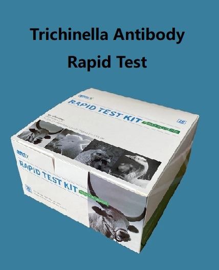 Trichinella Antibody Rapid Test