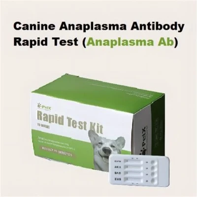 Canine ANA Ab