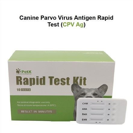 CPV Ag Test
