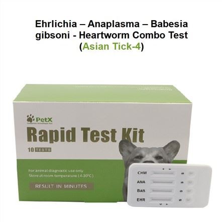 EHR BAB ANA CHW Dog Test
