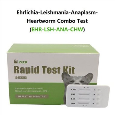 EHR LSH ANA CHW Test
