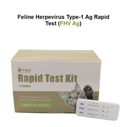 FHV Ag Test