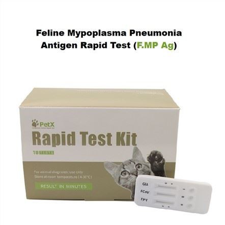 FMP Ag Test